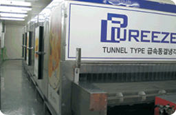Tunnel Type Freezer