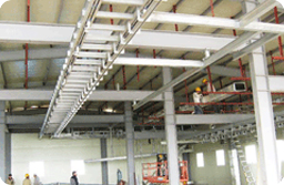 Construction and installation of slaughter plants