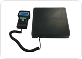Charging Scale Capacity 50kg 100kg