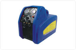 Characteristics of RRP 250/520 