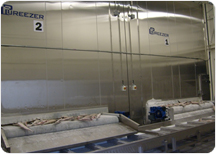 Tunnel freezer